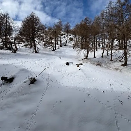Via Lattea-bilocale A 300 M Dalle Piste