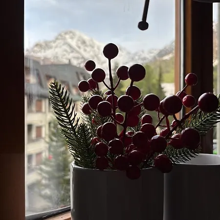 Via Lattea-bilocale A 300 M Dalle Piste 세스트리에