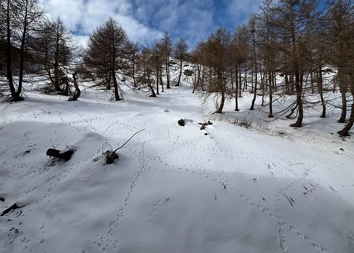 Via Lattea-bilocale A 300 M Dalle Piste